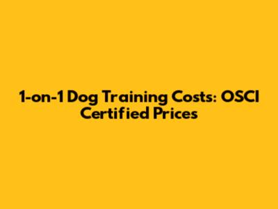 1-on-1 Dog Training Costs: OSCI Certified Prices