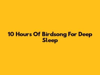 10 Hours Of Birdsong For Deep Sleep