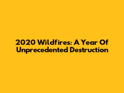 2020 Wildfires: A Year Of Unprecedented Destruction