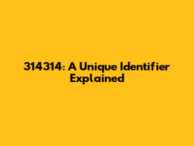 314314: A Unique Identifier Explained