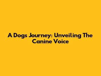 A Dog's Journey: Unveiling The Canine Voice