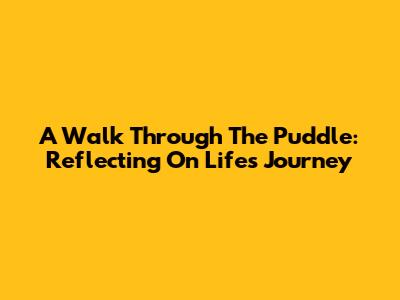 A Walk Through The Puddle: Reflecting On Life's Journey
