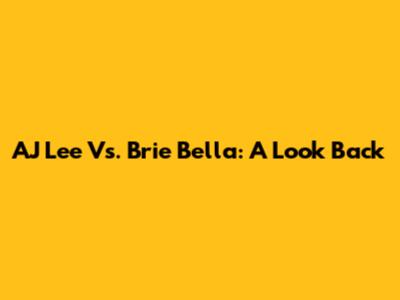 AJ Lee Vs. Brie Bella: A Look Back