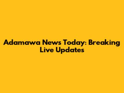 Adamawa News Today: Breaking Live Updates