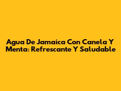 Agua De Jamaica Con Canela Y Menta: Refrescante Y Saludable
