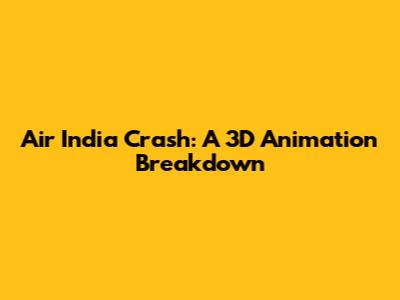 Air India Crash: A 3D Animation Breakdown