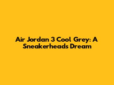 Air Jordan 3 Cool Grey: A Sneakerhead's Dream