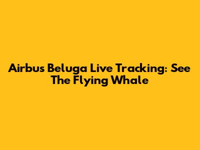 Airbus Beluga Live Tracking: See The Flying Whale