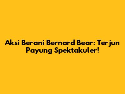 Aksi Berani Bernard Bear: Terjun Payung Spektakuler!