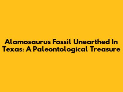 Alamosaurus Fossil Unearthed In Texas: A Paleontological Treasure