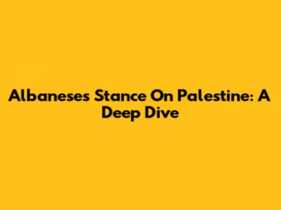 Albanese's Stance On Palestine: A Deep Dive