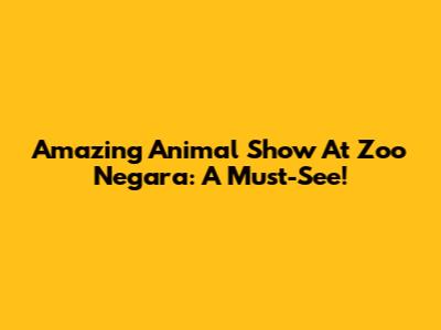 Amazing Animal Show At Zoo Negara: A Must-See!