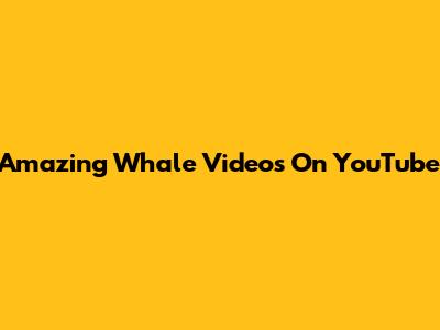 Amazing Whale Videos On YouTube
