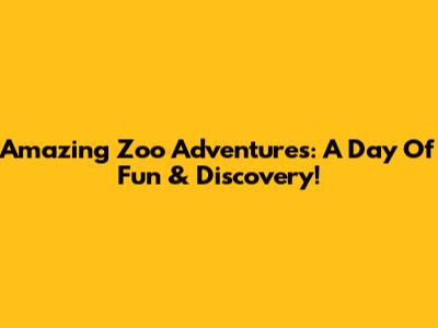 Amazing Zoo Adventures: A Day Of Fun & Discovery!