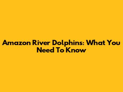 Amazon River Dolphins: What You Need To Know