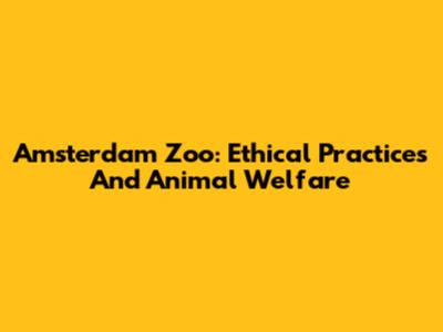 Amsterdam Zoo: Ethical Practices And Animal Welfare