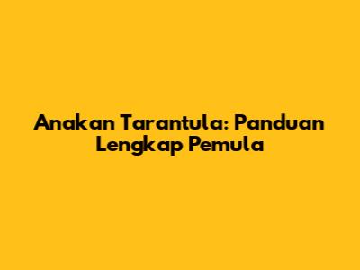 Anakan Tarantula: Panduan Lengkap Pemula
