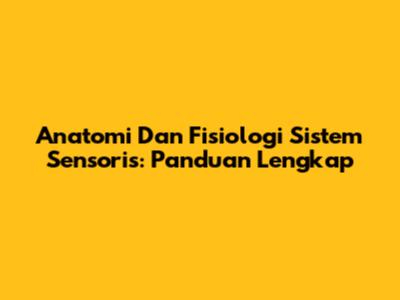 Anatomi Dan Fisiologi Sistem Sensoris: Panduan Lengkap