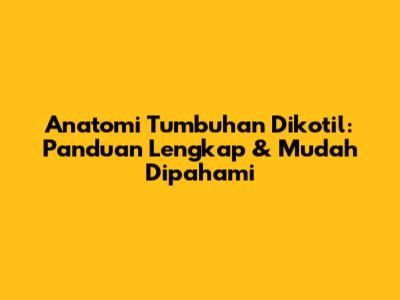 Anatomi Tumbuhan Dikotil: Panduan Lengkap & Mudah Dipahami