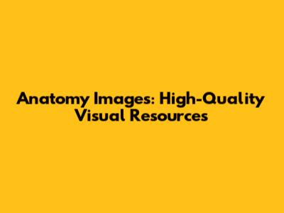 Anatomy Images: High-Quality Visual Resources