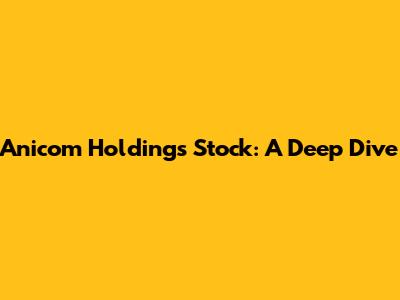 Anicom Holdings Stock: A Deep Dive