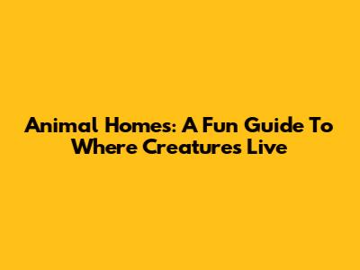 Animal Homes: A Fun Guide To Where Creatures Live