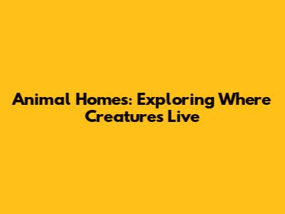 Animal Homes: Exploring Where Creatures Live