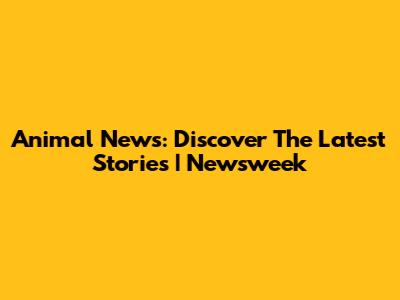 Animal News: Discover The Latest Stories | Newsweek