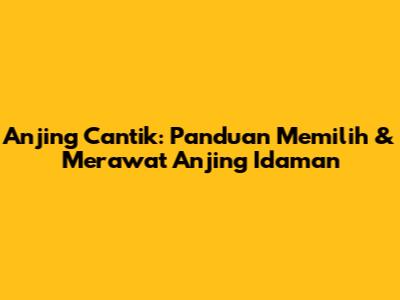 Anjing Cantik: Panduan Memilih & Merawat Anjing Idaman