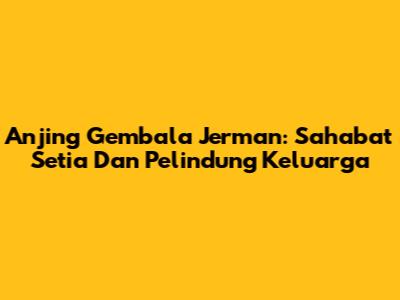 Anjing Gembala Jerman: Sahabat Setia Dan Pelindung Keluarga