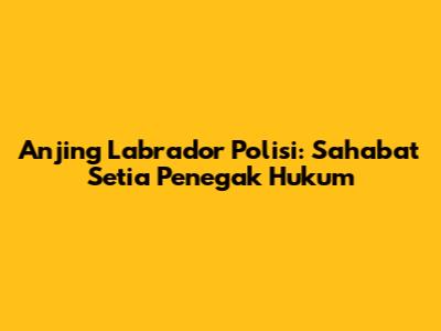 Anjing Labrador Polisi: Sahabat Setia Penegak Hukum
