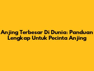 Anjing Terbesar Di Dunia: Panduan Lengkap Untuk Pecinta Anjing