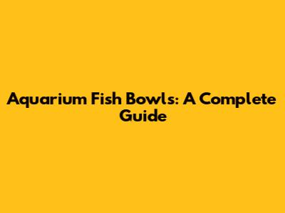 Aquarium Fish Bowls: A Complete Guide