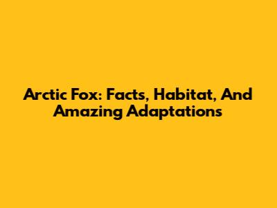 Arctic Fox: Facts, Habitat, And Amazing Adaptations