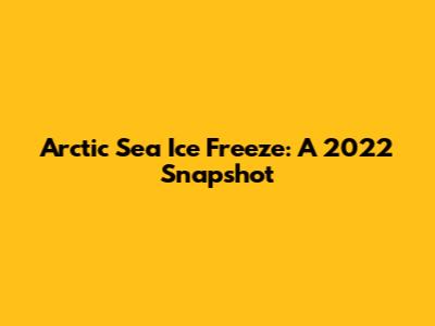 Arctic Sea Ice Freeze: A 2022 Snapshot