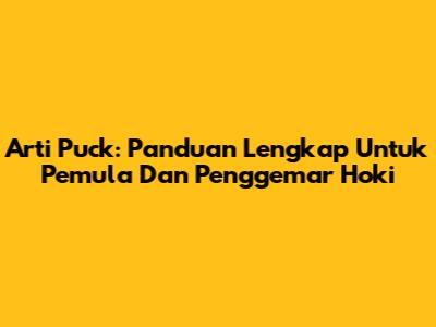 Arti Puck: Panduan Lengkap Untuk Pemula Dan Penggemar Hoki