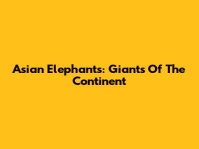 Asian Elephants: Giants Of The Continent