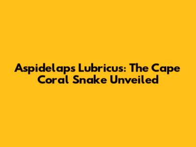 Aspidelaps Lubricus: The Cape Coral Snake Unveiled