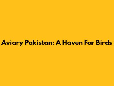 Aviary Pakistan: A Haven For Birds