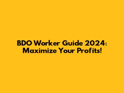 BDO Worker Guide 2024: Maximize Your Profits!