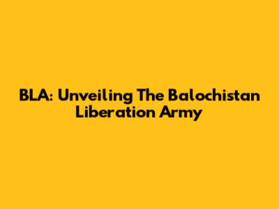 BLA: Unveiling The Balochistan Liberation Army