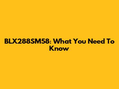 BLX288SM58: What You Need To Know