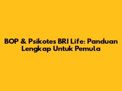 BOP & Psikotes BRI Life: Panduan Lengkap Untuk Pemula