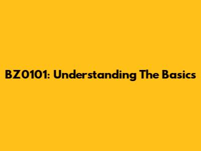 BZ0101: Understanding The Basics
