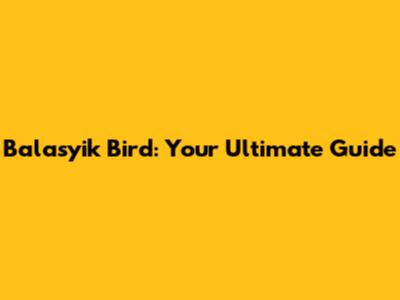 Balasyik Bird: Your Ultimate Guide