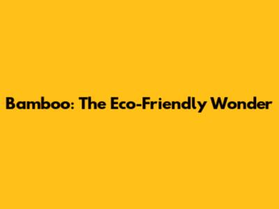 Bamboo: The Eco-Friendly Wonder