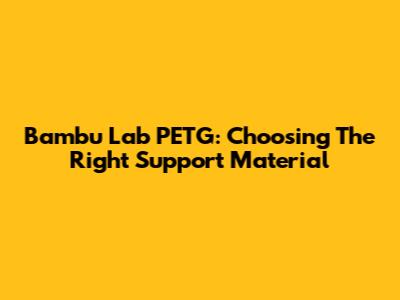 Bambu Lab PETG: Choosing The Right Support Material