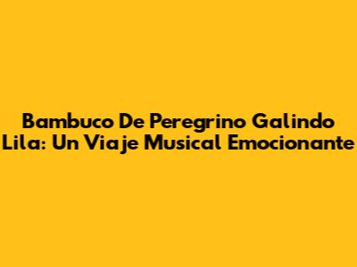 Bambuco De Peregrino Galindo Lila: Un Viaje Musical Emocionante