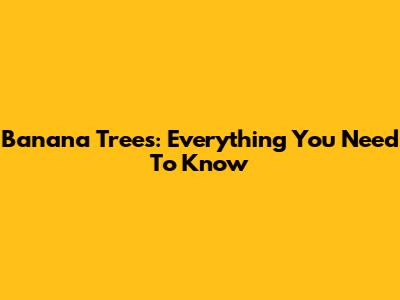 Banana Trees: Everything You Need To Know
