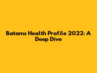 Batam's Health Profile 2022: A Deep Dive